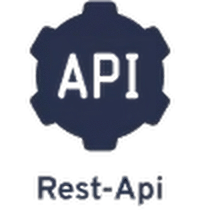 api Icon